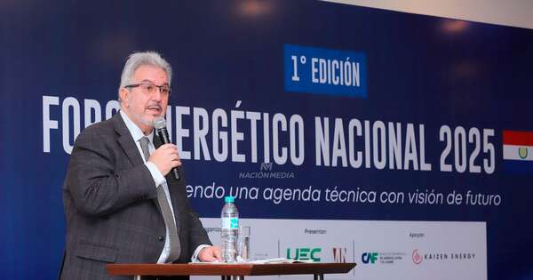 La Nación / Primer Foro Energético Nacional: buscan aprovechar matriz renovable y prevenir crisis