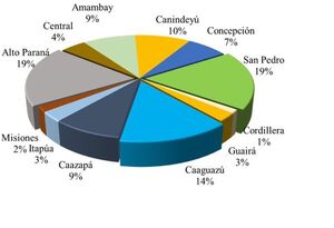 Alto Paraná, San Pedro y Caaguazú son los departamentos que más títulos de propiedad recibirán en julio