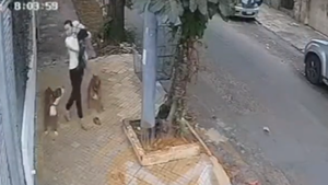 Perros sueltos atacan a joven que paseaba a sus mascotas en Asunción