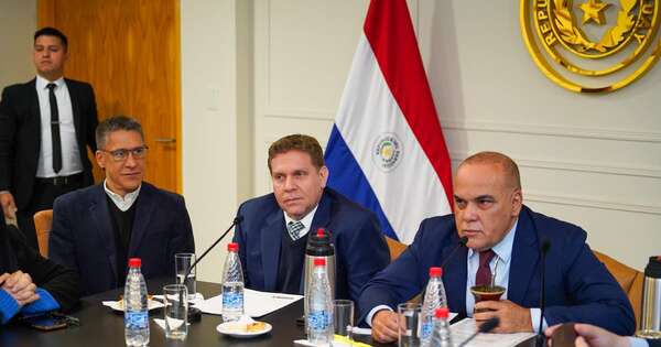 La Nación / Titular de Petropar informó al Senado sobre proceso de compra de combustible qatarí