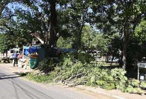 Fuertes vientos tiraron un árbol sobre una casilla en 21 Proyectada - Nacionales - ABC Color