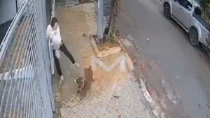 Ataque de perros sueltos a joven en Asunción