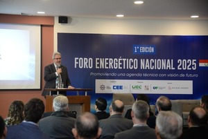 Paraguay impulsa reordenamiento energético: Viceministerio de Minas y Energía pasa al MIC - ADN Digital