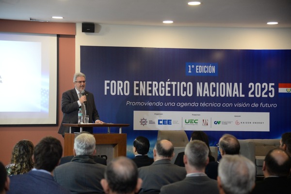 Paraguay impulsa reordenamiento energético: Viceministerio de Minas y Energía pasa al MIC - ADN Digital