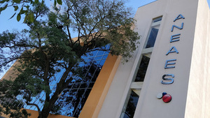 Aneaes cambia el modelo de evaluación y exigirá mejora continua a universidades - ADN Digital