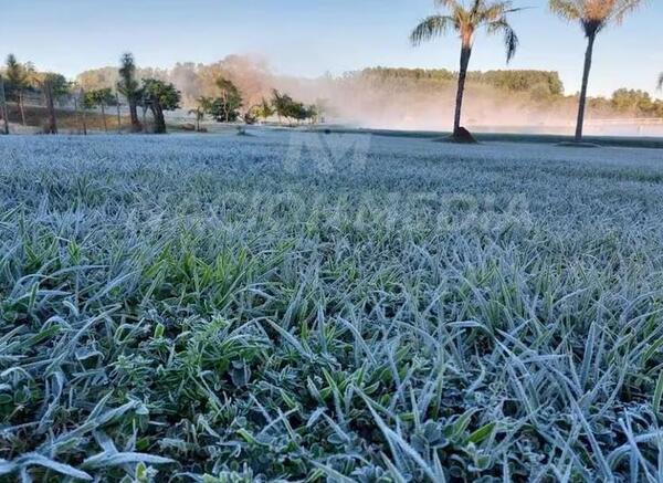 Instan a productores a tomar medidas ante las heladas que se aproximan