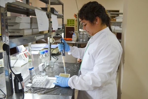 Investigadores nuevos o con intención de reincorporarse podrán postular al SISNI hasta septiembre, anuncia Conacyt - .::Agencia IP::.