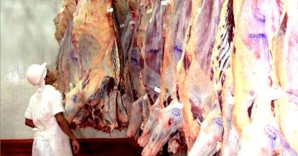La Nación / Carne paraguaya: Estados Unidos auditará en julio y Japón en agosto