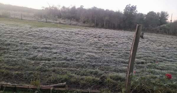 Diario HOY | Paraguay amanece con heladas y pone en jaque a cultivos, MAG emite recomendaciones