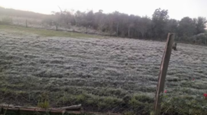 Paraguay amanece con heladas y pone en jaque a cultivos, MAG emite recomendaciones