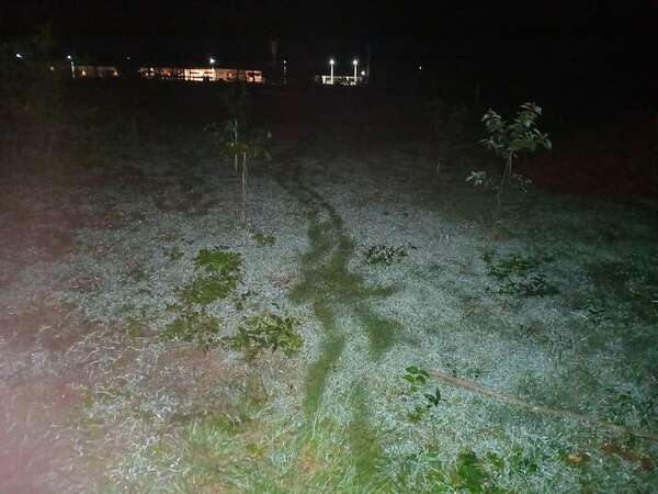 Gélida mañana: Carapeguá amaneció bajo la escarcha con 2°C - Nacionales - ABC Color