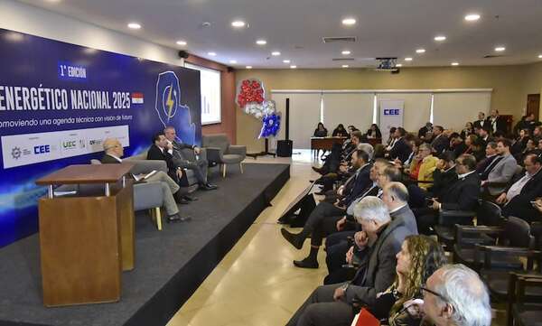 UIP llama a sincerar tarifas eléctricas para evitar el apagón energético en la próxima década - Economía - ABC Color
