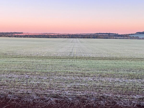 PARAGUAY AMANECE CON HELADAS Y PONE EN JAQUE A CULTIVOS, MAG EMITE RECOMENDACIONES