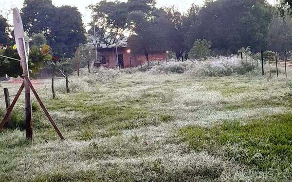 Amanecer frío y con escarchas en Luque •
