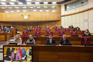Ministra de Salud presenta con el MEF al Senado plan alternativo para exonerar tributos a la compra de vacunas  - Política - ABC Color