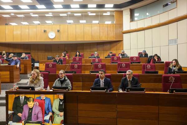 Ministra de Salud presenta con el MEF al Senado plan alternativo para exonerar tributos a la compra de vacunas - Política - ABC Color