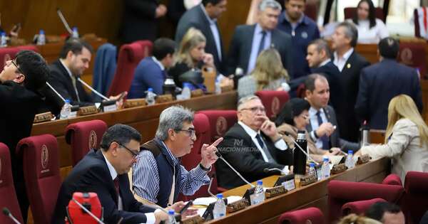 La Nación / Diputados declara emergencia nacional en ciberseguridad