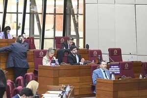 Proyecto de “Blanqueo exprés” iría al archivo, pese a intento desesperado del cartismo - Política - ABC Color