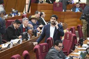 Cambio a Ley de Pagos salió de la “cueva de la víbora” para enriquecer a Peña, dicen - Política - ABC Color