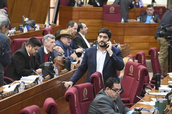 Cambio a Ley de Pagos salió de la “cueva de la víbora” para enriquecer a Peña, dicen - Política - ABC Color