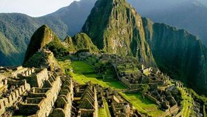 Descubrimiento de roedor semiacuático en Machu Picchu sorprende a científicos peruanos