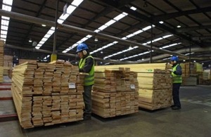 Expo Madera 2025: «El sector forestal va a llegar a ser una pata importante de la mesa de facturación del país» - ADN Digital