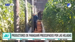 Productores de Paraguarí preocupados por las heladas
