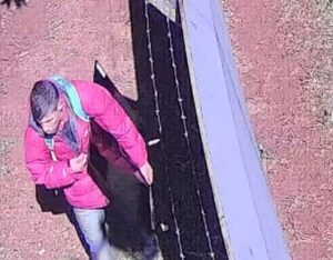 Buscan a ladrón que vació casa en CDE