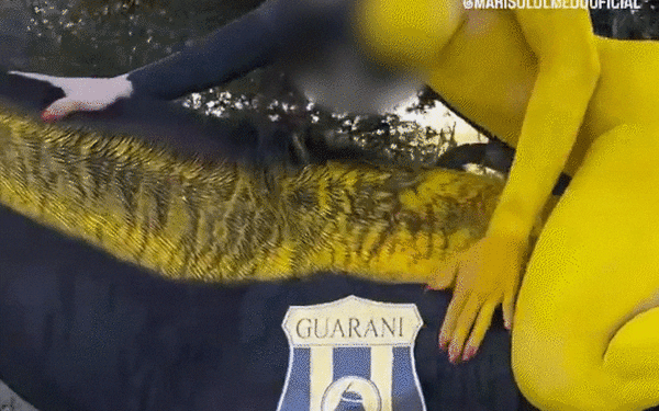 Video: denuncian por maltrato animal a modelo que pintó un caballo sobre el que posó desnuda - Nacionales - ABC Color