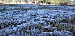 La producción hortícola fue la más afectada por las heladas