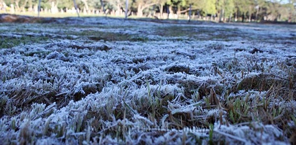 La producción hortícola fue la más afectada por las heladas