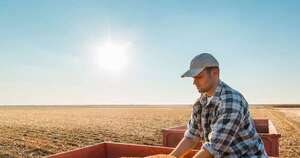 La Nación / Exportadores de maíz se preparan para enviar sus productos de la zafra 2025