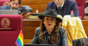 Celeste convocó a la marcha del orgullo: "Acá hay senadores gays y hay senadores que discriminan a los gays"