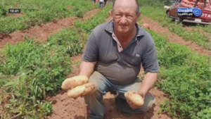Paperos de Paraguarí están esperanzados en la campaña 2025