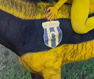 Defensa Animal investigará a modelo por haber pintado un caballo | Unicanal