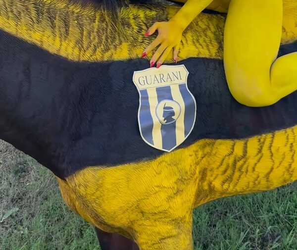 Defensa Animal investigará a modelo por haber pintado un caballo | Unicanal