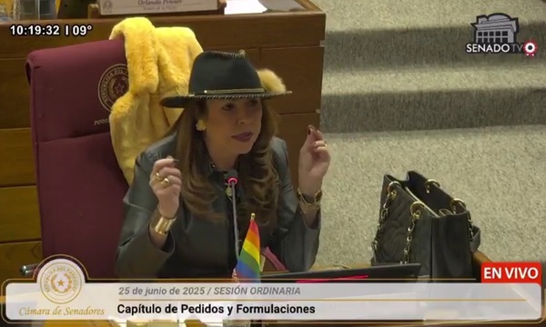 Duro cruce entre Celeste Amarilla y Carlos Núñez por apoyo a la marcha del Orgullo en sesión del Senado - OviedoPress