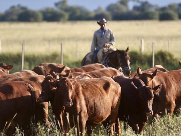 La tensión en Medio Oriente genera incertidumbre sobre los insumos y costo de producción