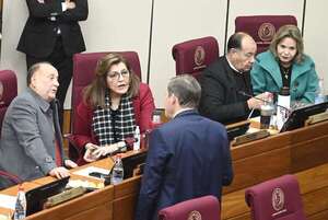 Senado aprueba que el Club Recoleta venda su predio  - Política - ABC Color