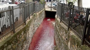 Inconsciencia: Tiñen de rojo aguas de arroyo con productos químicos