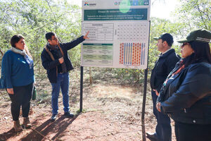 Autoridades del Mades y de la UNA verificaron restauración forestal gestionada por Itaipu - .::Agencia IP::.