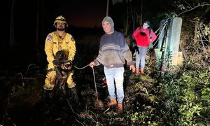 Rescatan a perro que cayó a profundo pozo