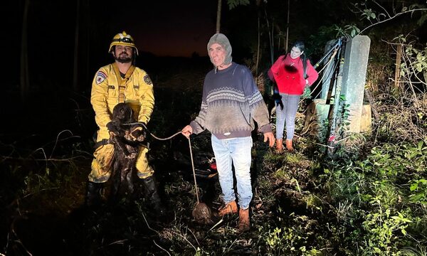 Rescatan a perro que cayó a profundo pozo