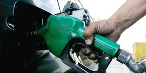 Sedeco dice que «no posee competencias legales para intervenir en precios»