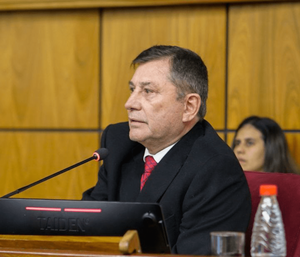 Audiencia sobre IA: senador sugiere un marco más flexible y quitar regulaciones excesivas