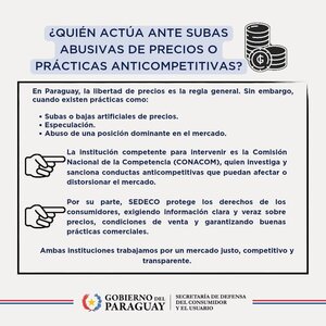 Sedeco aclara su rol frente a la regulación de precios en Paraguay - La Clave