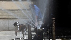 El calor extremo persiste en EEUU en medio de una emergencia eléctrica
