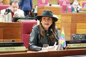 “Santiago Peña mantiene ministros que no funcionan”, dice senadora Amarilla  - Política - ABC Color