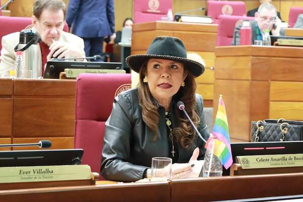 “Santiago Peña mantiene ministros que no funcionan”, dice senadora Amarilla - Política - ABC Color