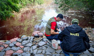 Arroyo de Asunción aparece teñido de rojo y genera alarma - OviedoPress